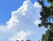 阳高天气预报,阳高7天天气预报,阳高15天天气预报,阳高天气查询